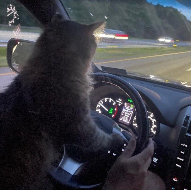 vrroooom eagle werewolf